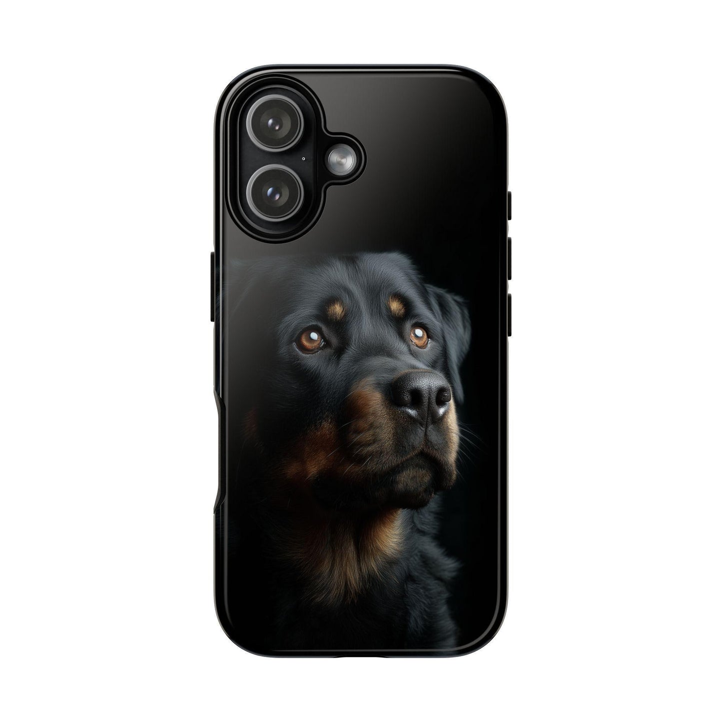 Rottweiler Portrait Dog Natural Light
