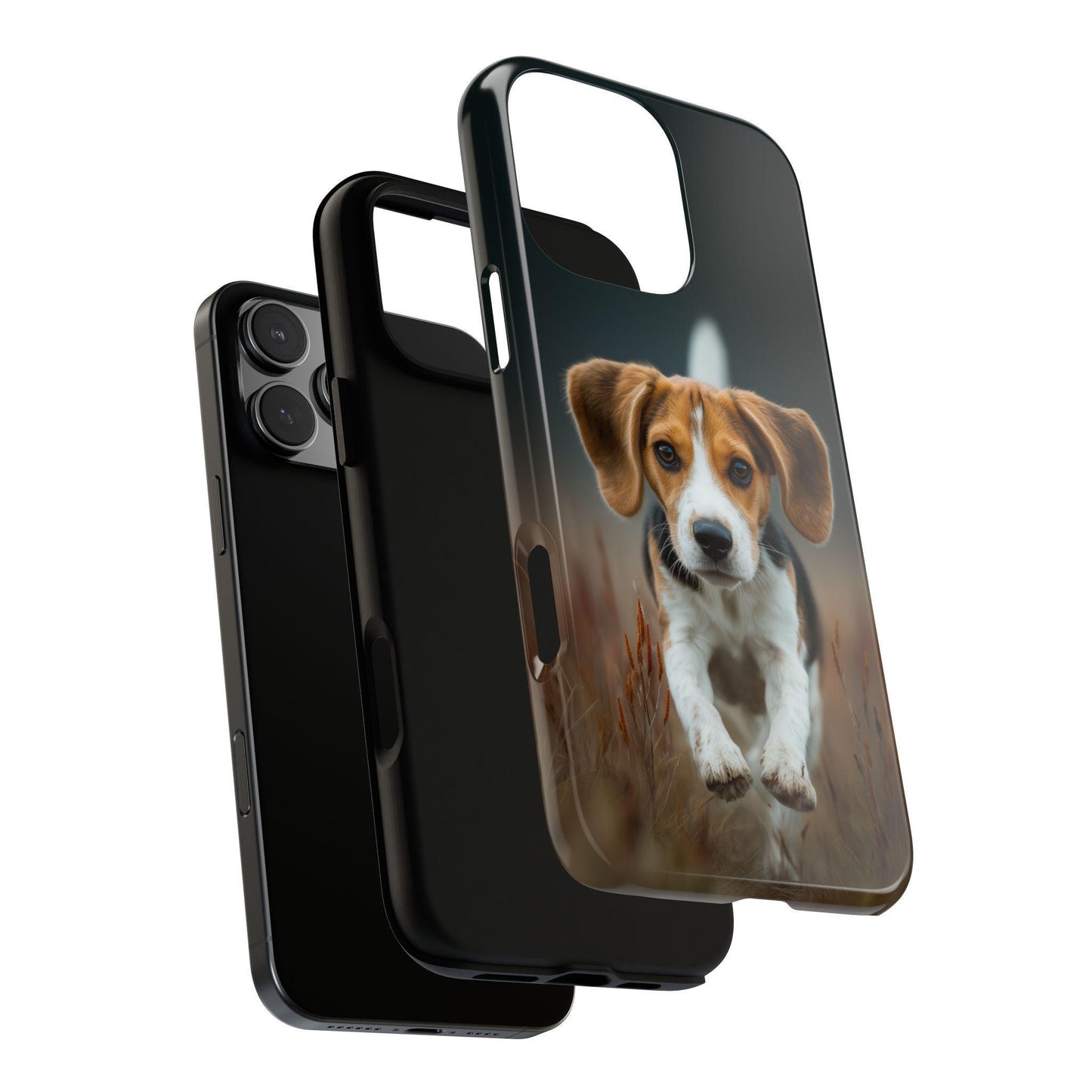 Beagle Dog Meadow