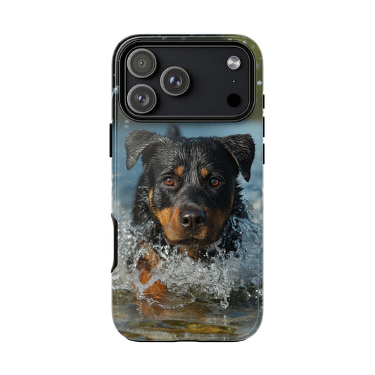 Rottweiler Dog Water Splash