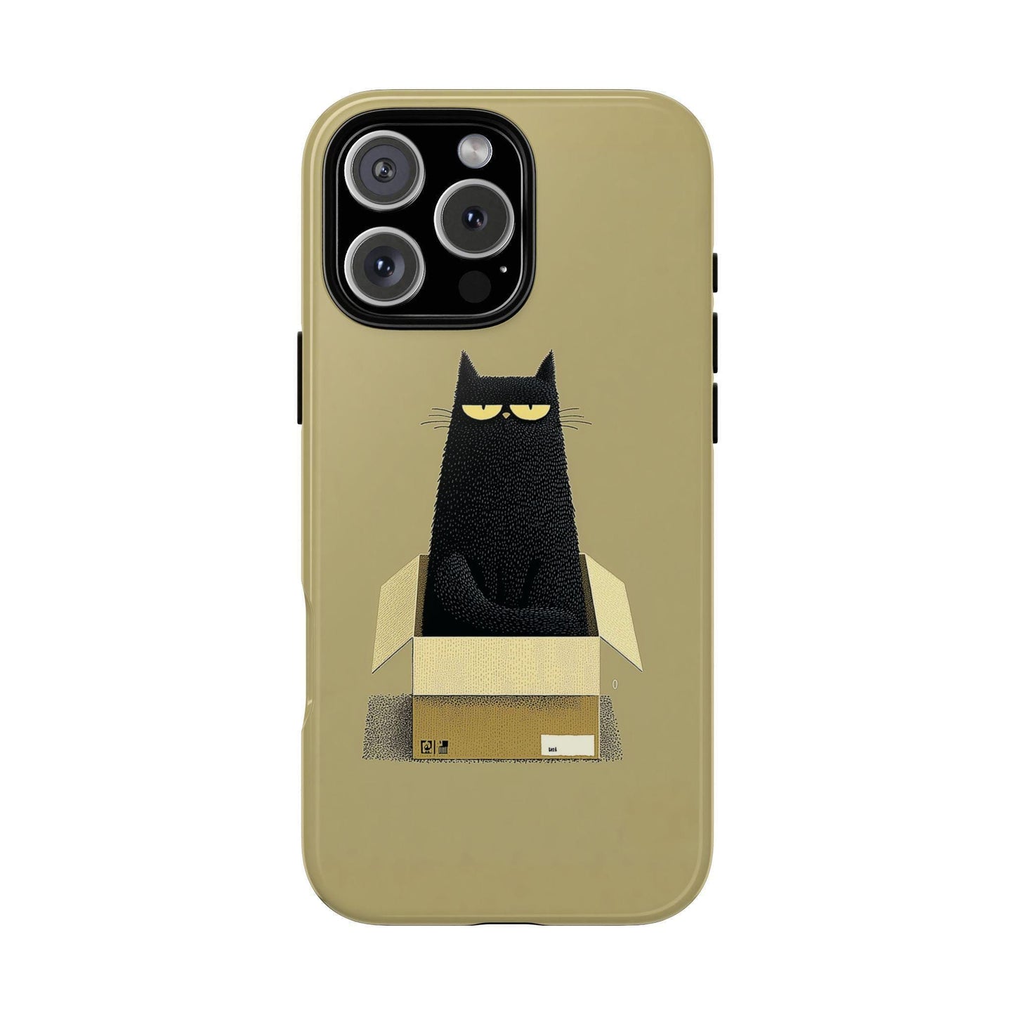 Grumpy Black Cat Cardboard Box