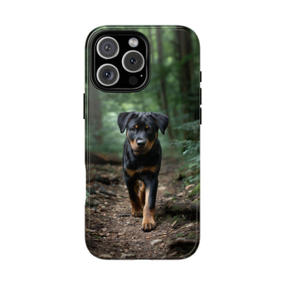Rottweiler Dog Dirt Trail