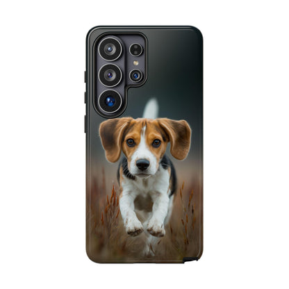 Beagle Dog Meadow