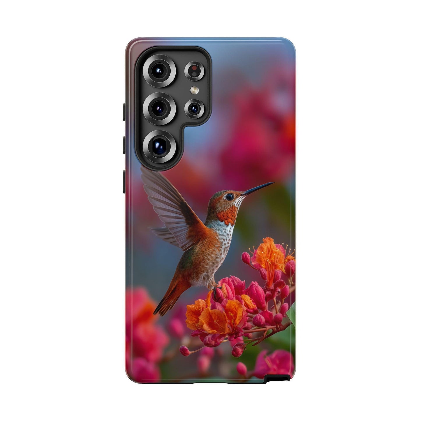 Hummingbird Tropical Tree Blooms