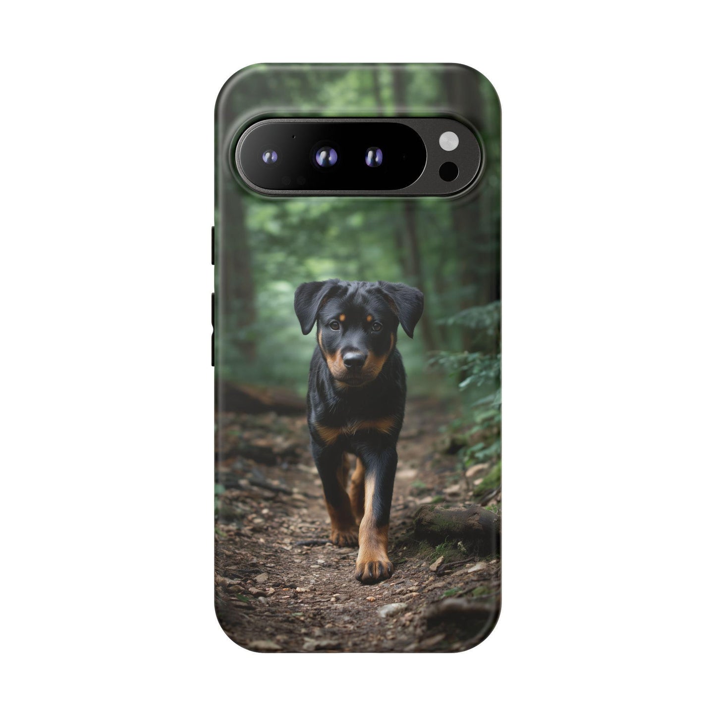 Rottweiler Dog Dirt Trail