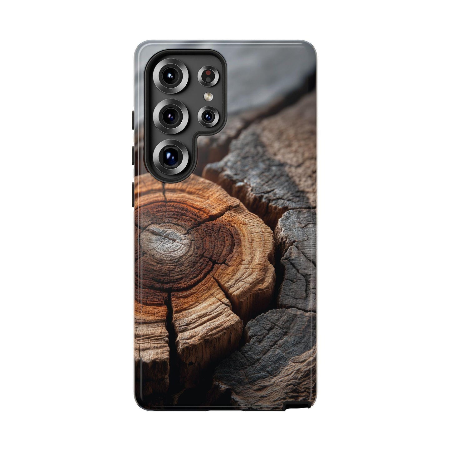 Arboreal Topography Tree Trunk Bark