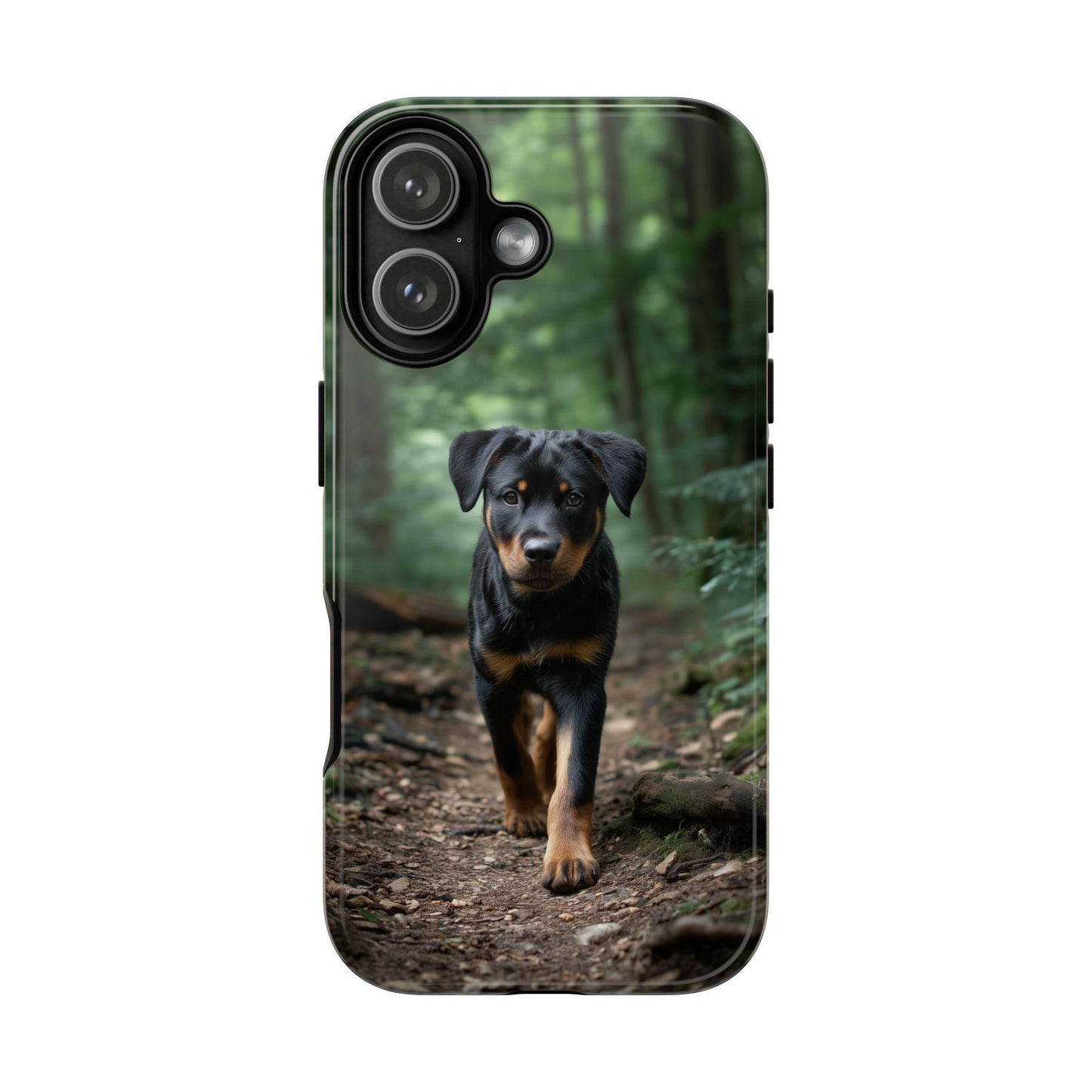 Rottweiler Dog Dirt Trail