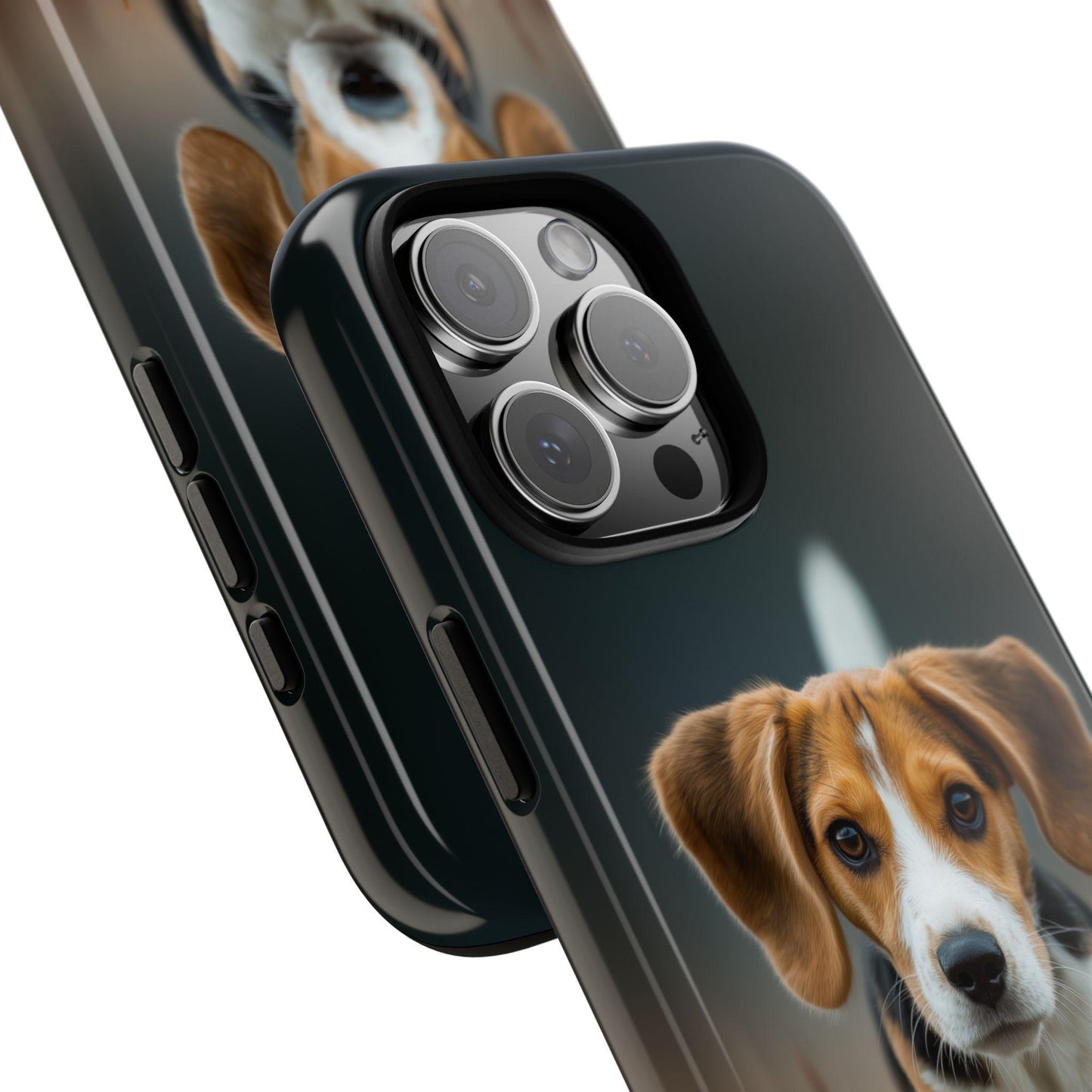 Beagle Dog Meadow