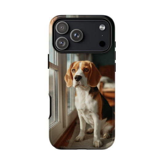 Beagle Sitting By Window