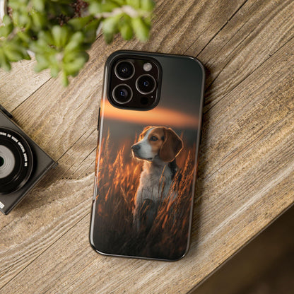 Tall Grass Beagle Dog Sunset