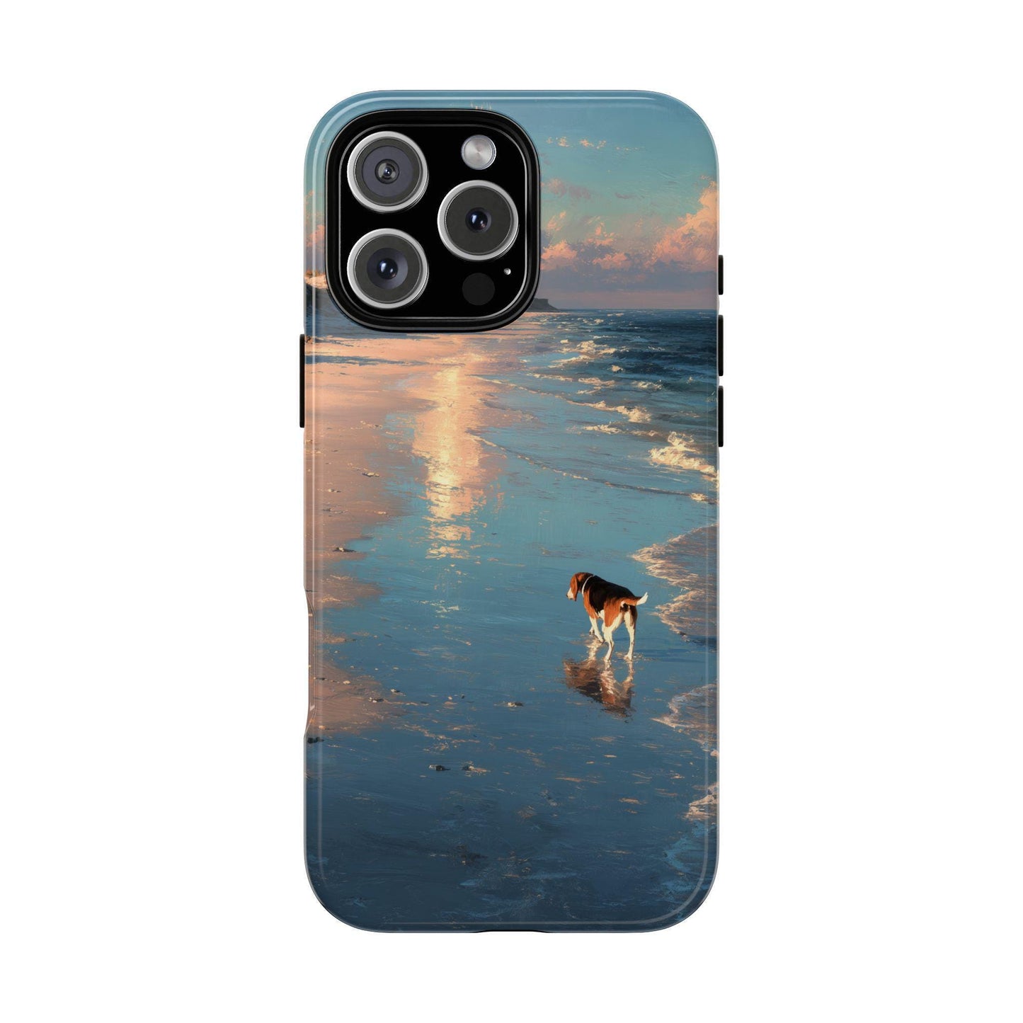 Beagle Dog Beach Shoreline
