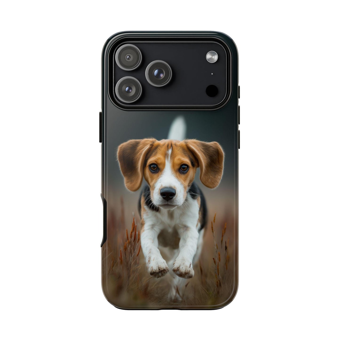 Beagle Dog Meadow