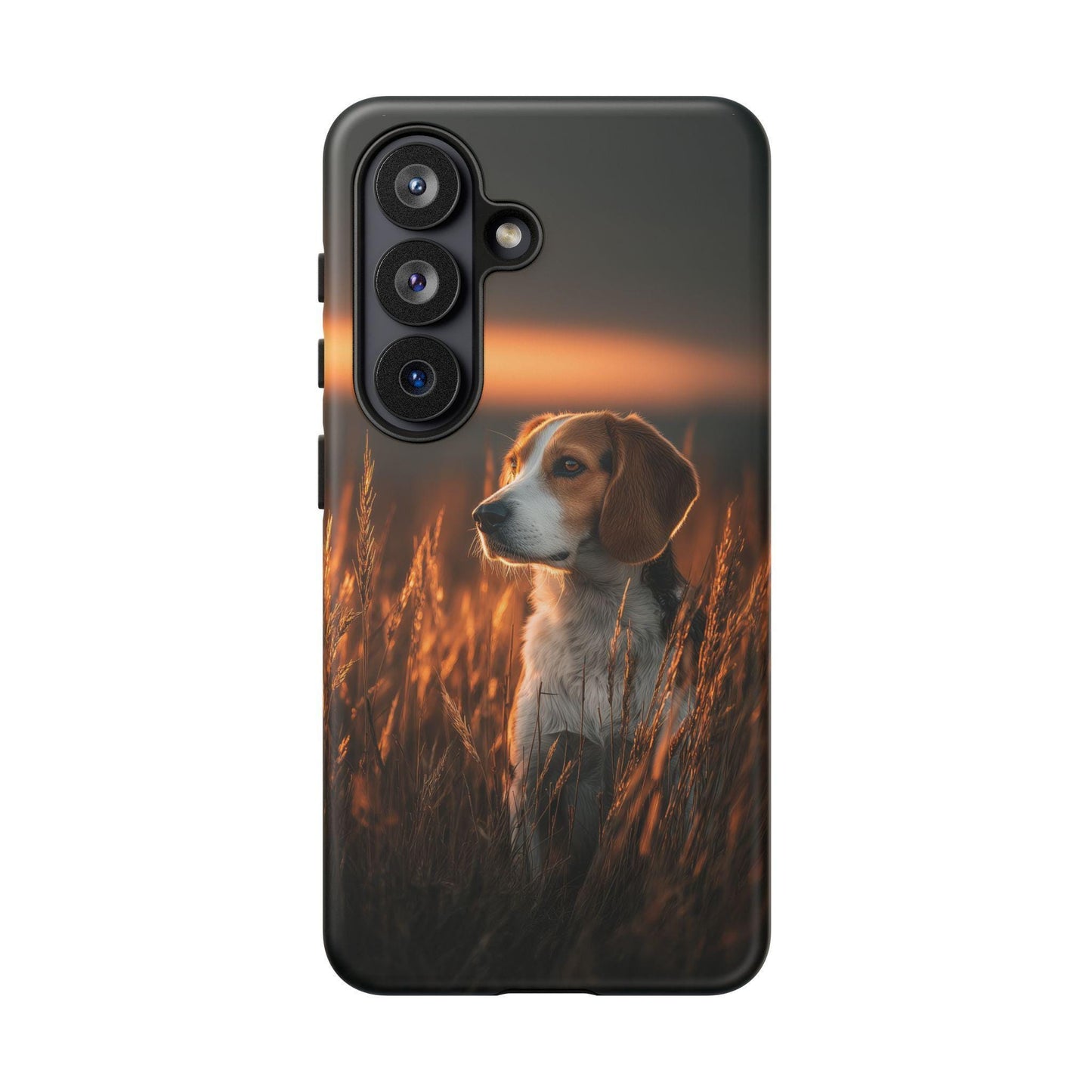 Tall Grass Beagle Dog Sunset