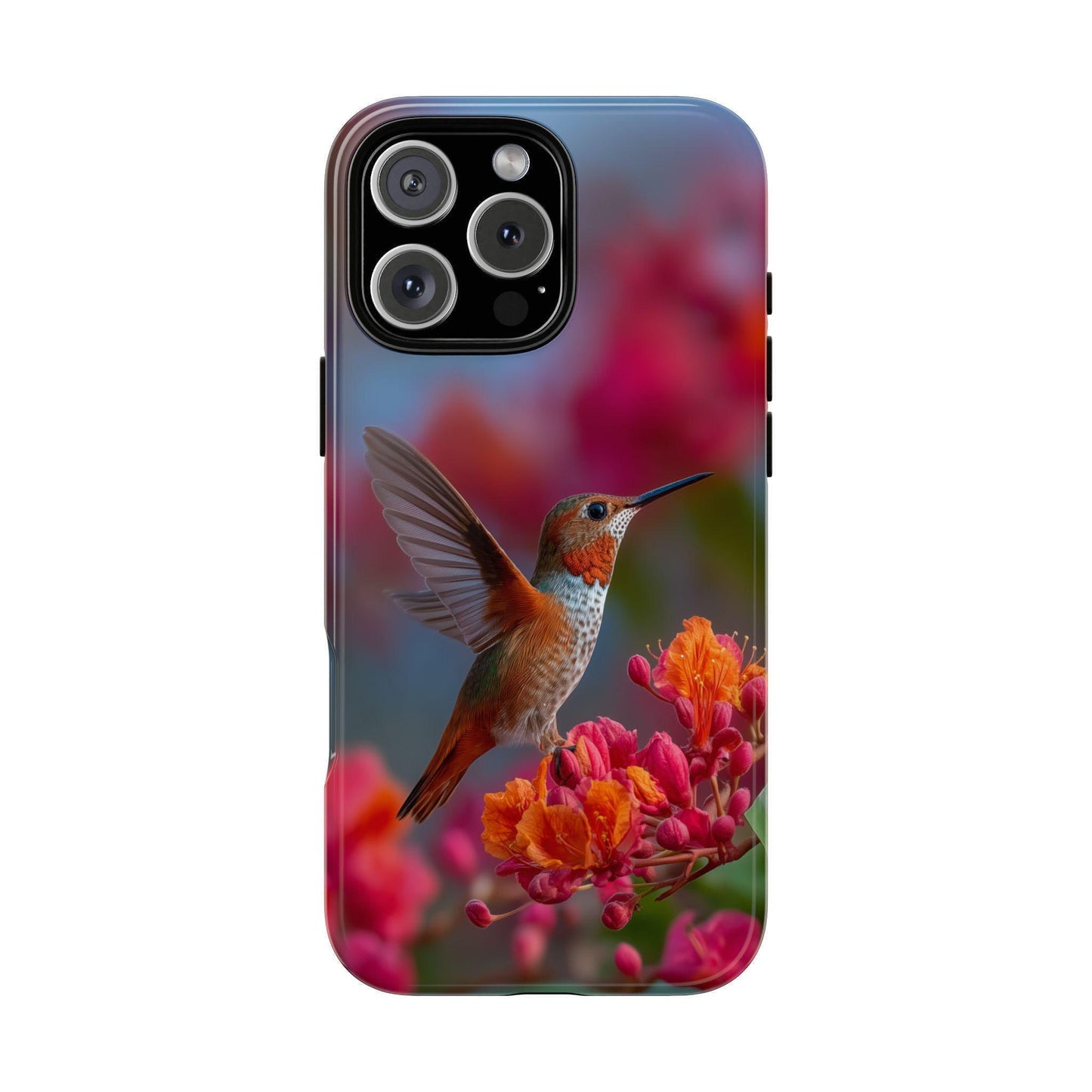 Hummingbird Tropical Tree Blooms