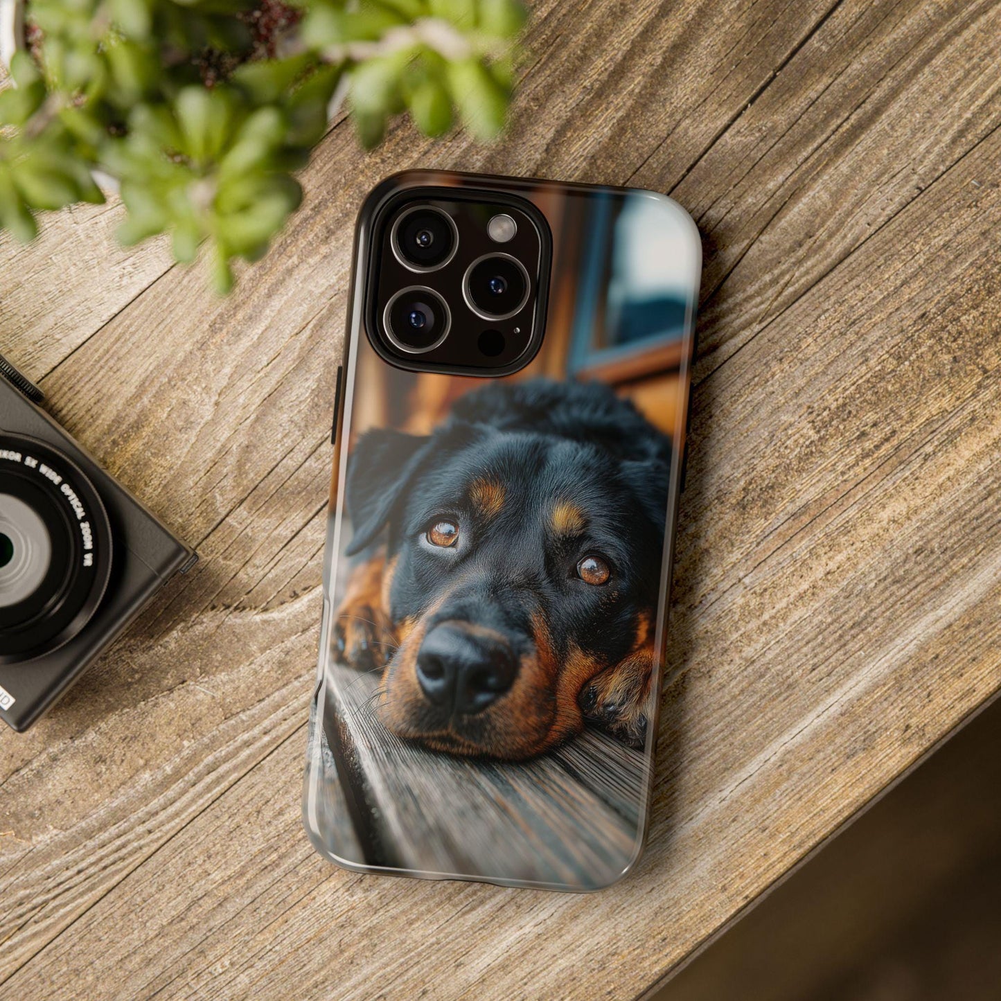 Rottweiler Dog Wooden Deck