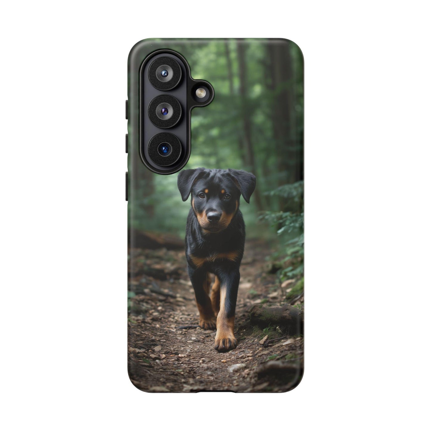 Rottweiler Dog Dirt Trail