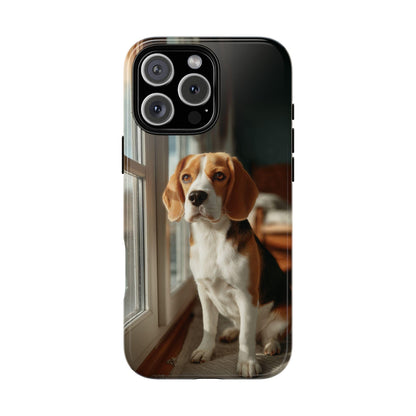 Beagle Sitting By Window