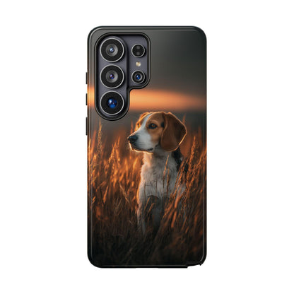 Tall Grass Beagle Dog Sunset