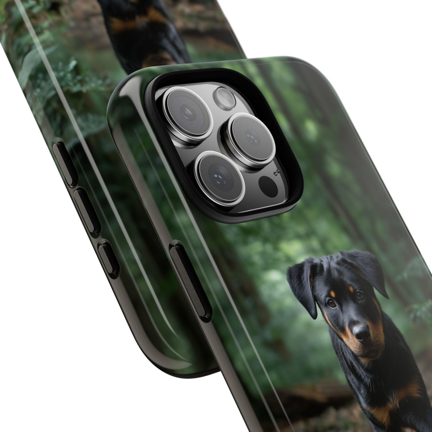 Rottweiler Dog Dirt Trail