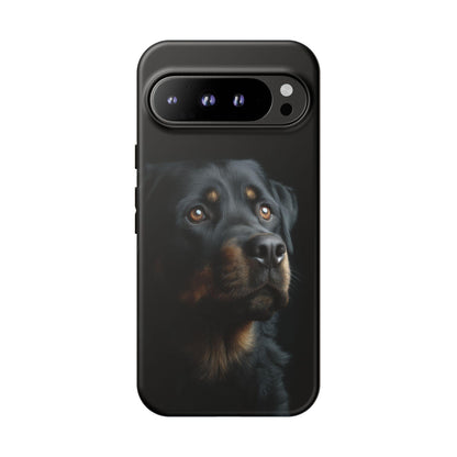 Rottweiler Portrait Dog Natural Light