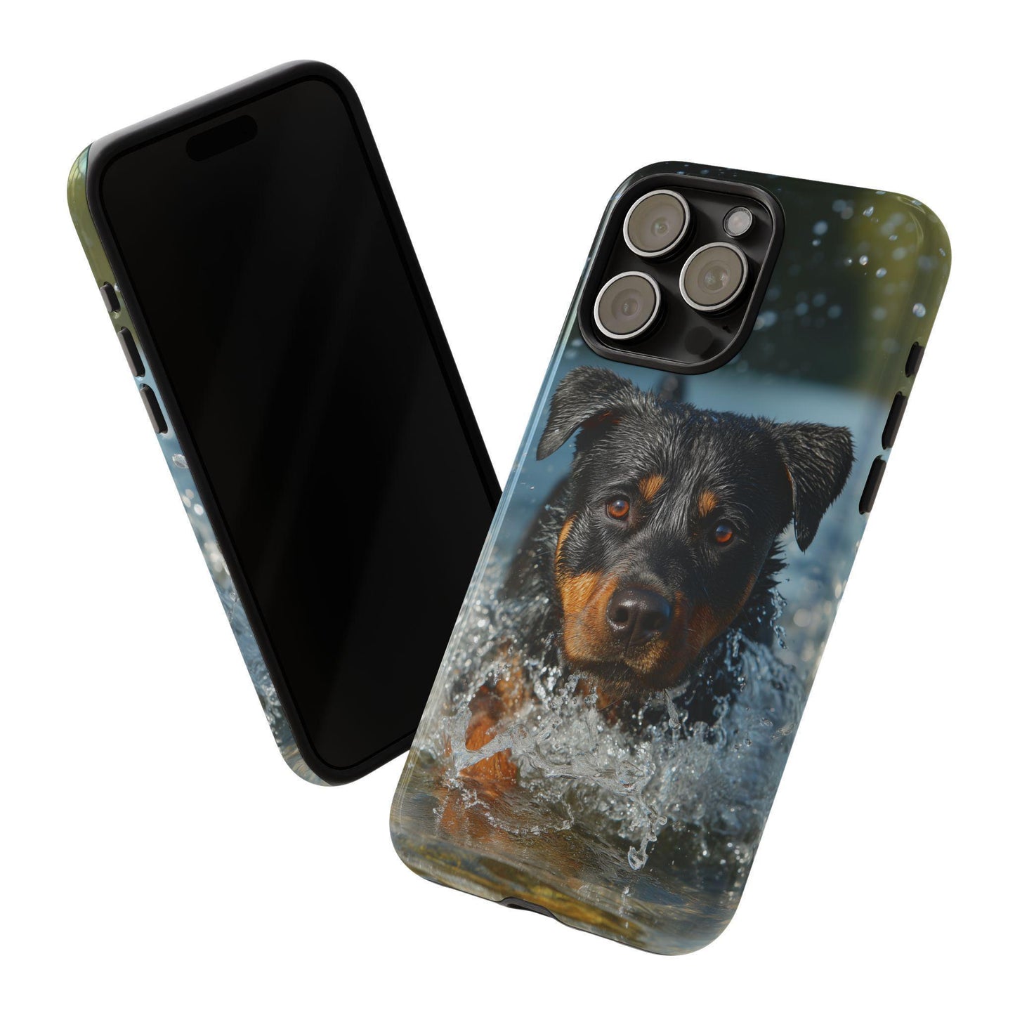 Rottweiler Dog Water Splash