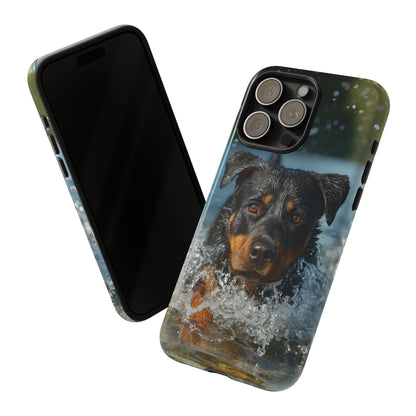 Rottweiler Dog Water Splash