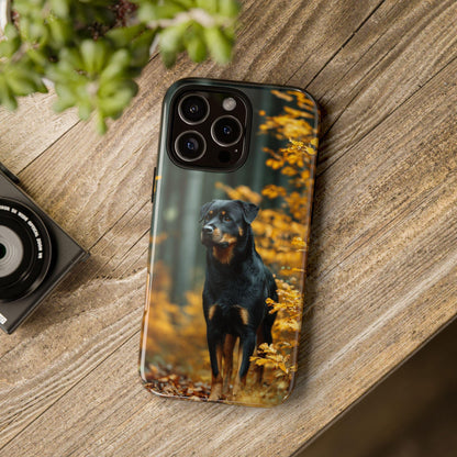 Autumn Forest Rottweiler Dog