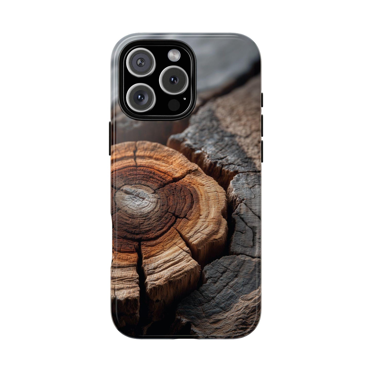 Arboreal Topography Tree Trunk Bark