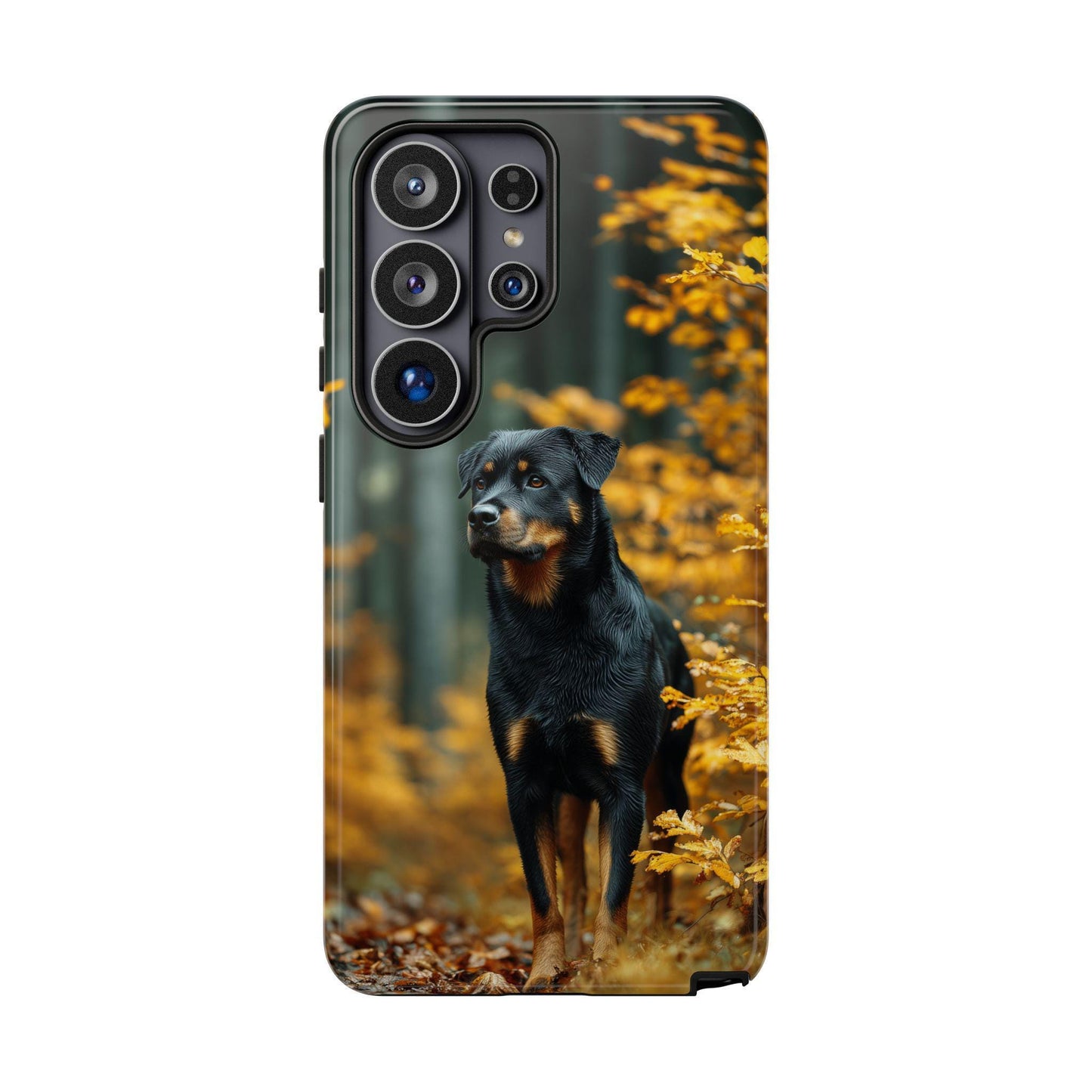 Autumn Forest Rottweiler Dog