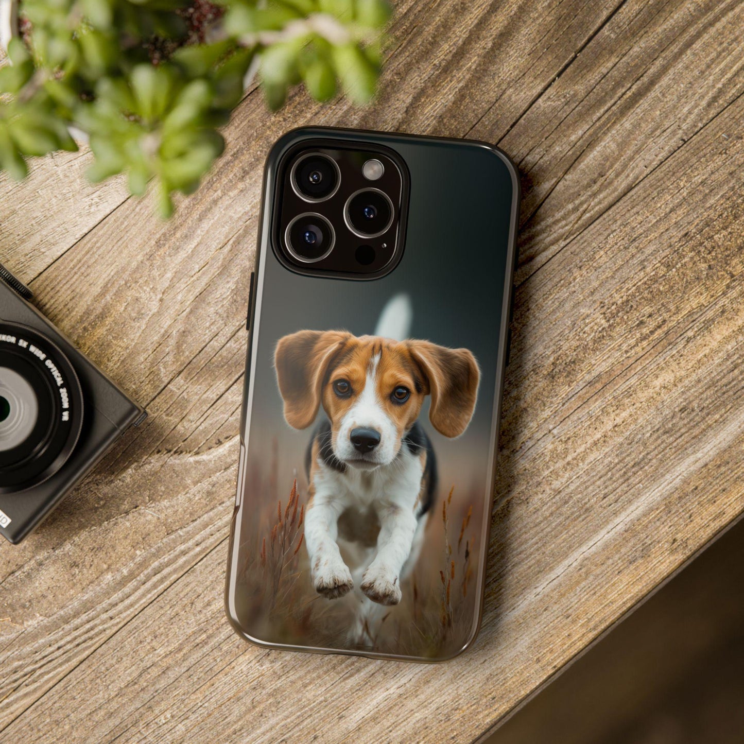 Beagle Dog Meadow