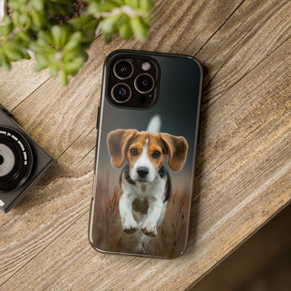 Beagle Dog Meadow