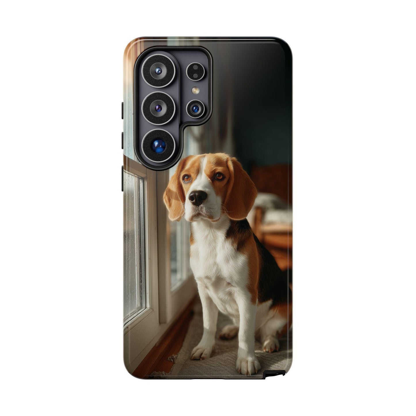 Beagle Sitting By Window