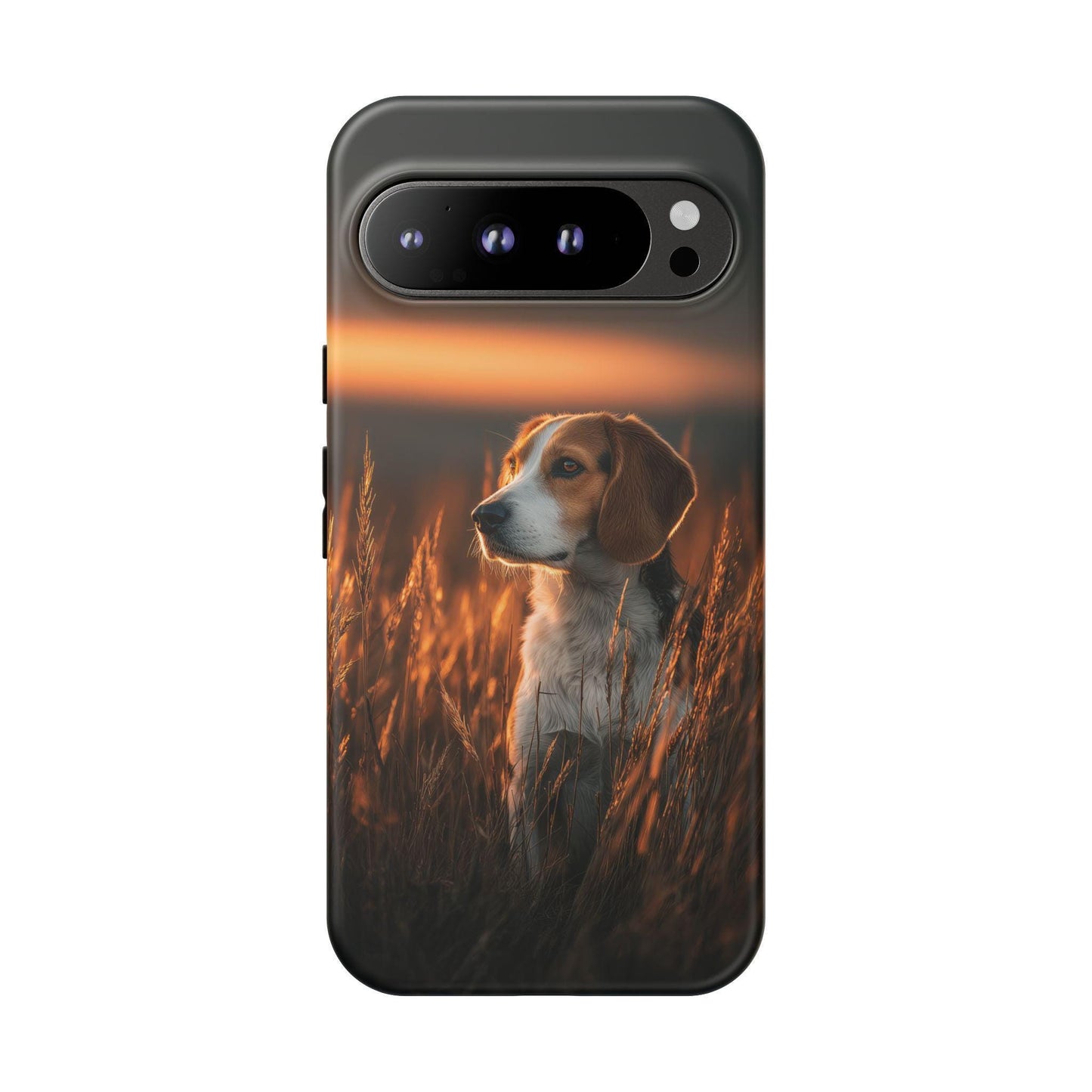 Tall Grass Beagle Dog Sunset