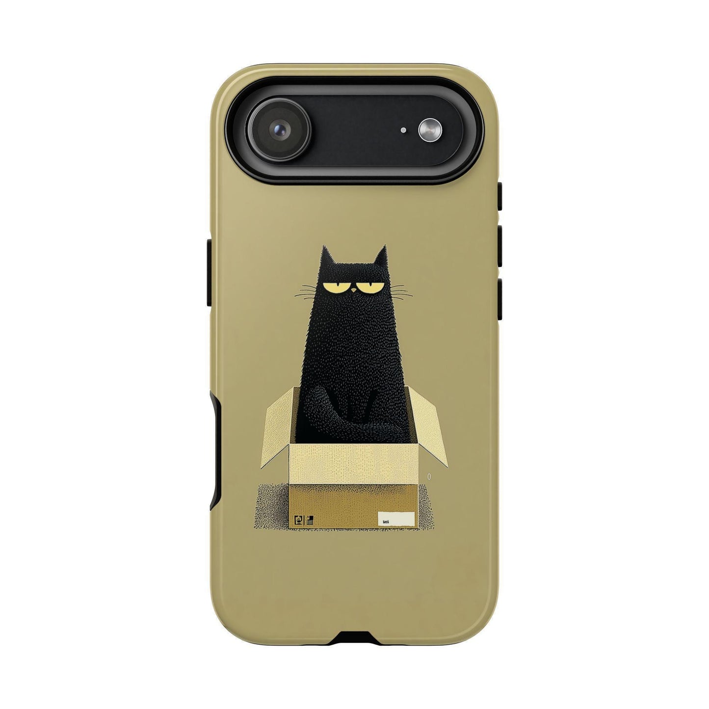 Grumpy Black Cat Cardboard Box