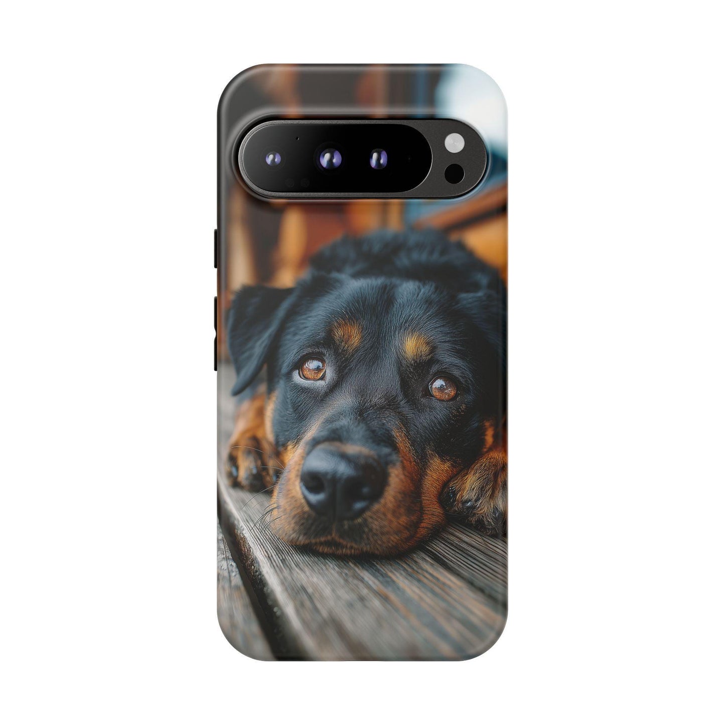 Rottweiler Dog Wooden Deck