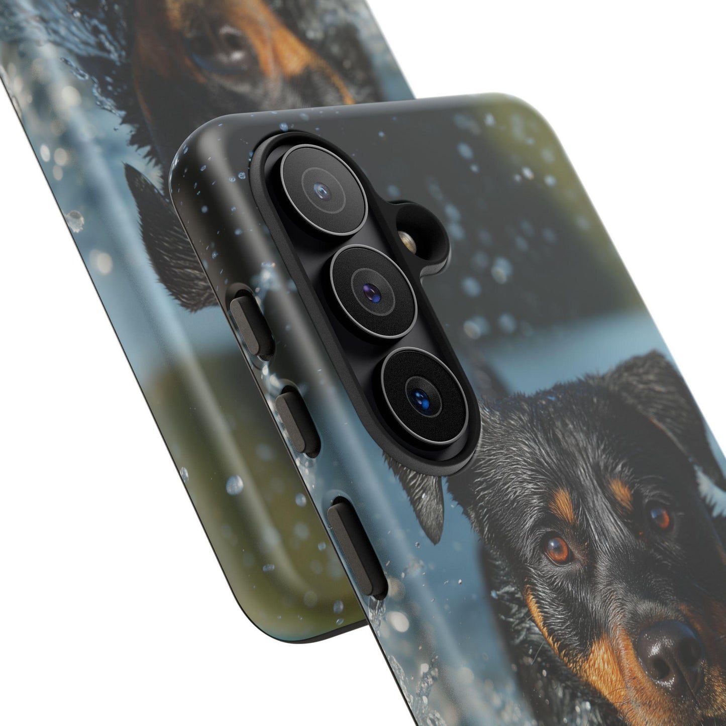 Rottweiler Dog Water Splash